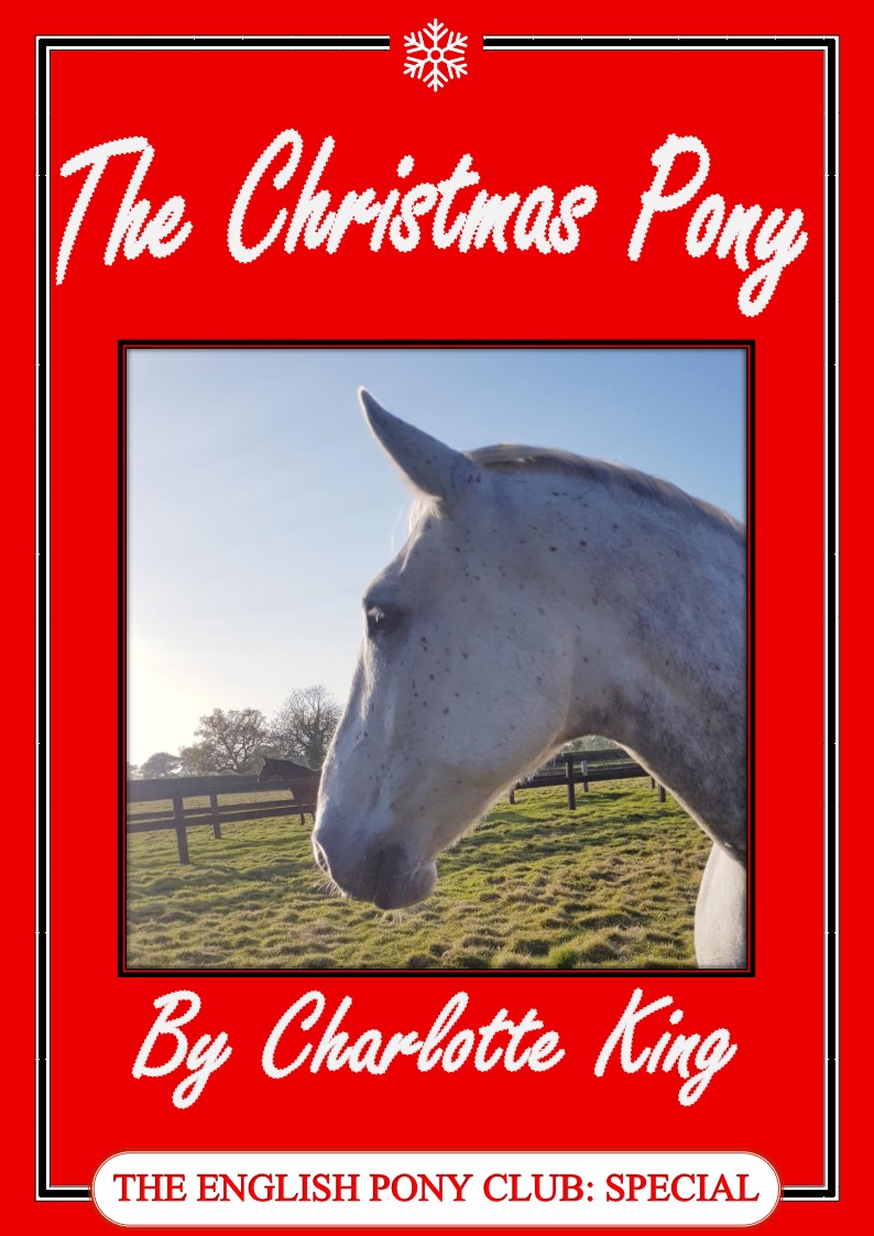 Cover of The Christmas Pony